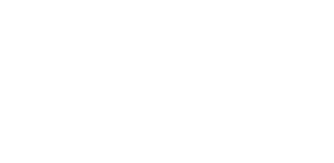 James C. Johnson Associates Inc. Management Consultants
